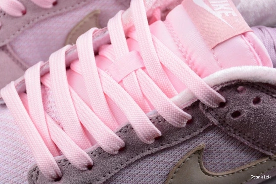 DZ5318-640 Nike Dunk Low Teddy Bear 0129